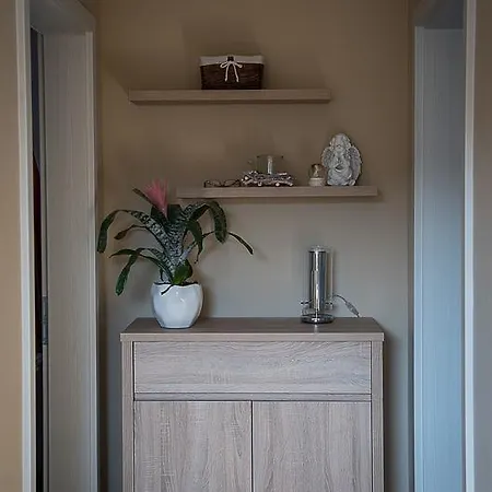 Orchidea Apartman Balatonkenese Exterior foto